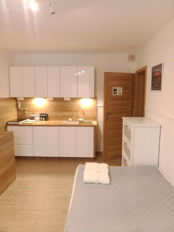Luksusowy Gaj Apartament By Apartamenty Na Dni Breslau Exterior foto